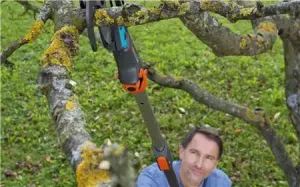 Toppsax S m utväxling