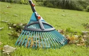 Lövräfsa, ställbar