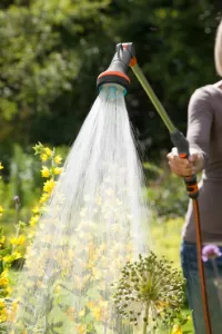 Comfort sprinklerstav för amplar