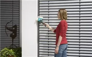 combisystem Hörnborste