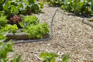 Textilslang Liano™ 20 m