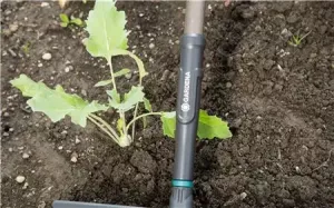 NatureLine Trädgårdskratta 36cm