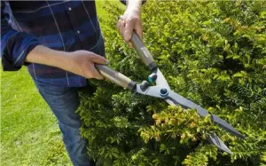 Set NatureCut Häcksax och Sekatör