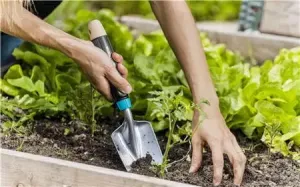 EcoLine Planterspade