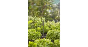 Förlängningsrör 24 cm (5 st)