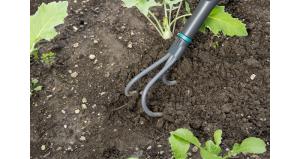 NatureLine Light Luckrare