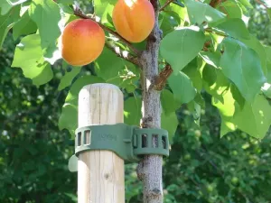 Softbinder Svart 4-p