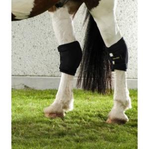 Hasskydd Back On Track, Höger