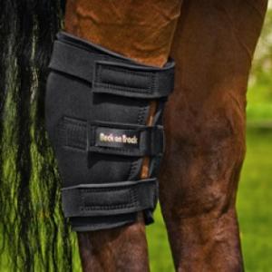 Hasskydd Back On Track, Höger