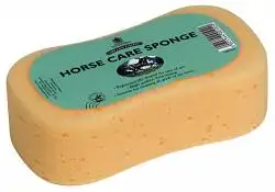 Tvättsvamp Carr&Day&Martin Stor