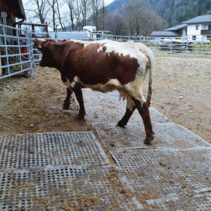 Markstabiliseringsmatta Kraiburg Lomax 1100x1750mm