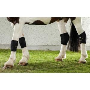 Knäskydd Häst Back On Track, Höger