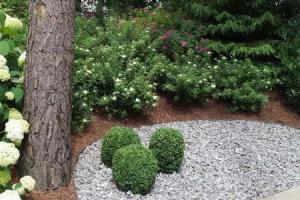 Kantband Ecolat 14cm 2m