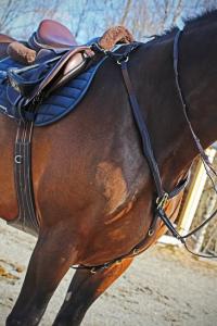 Förbygel Med Martingal ME Brun/Mässing