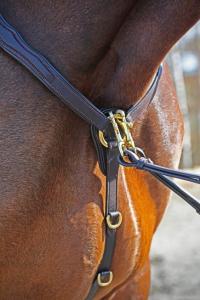 Förbygel Med Martingal ME Brun/Mässing