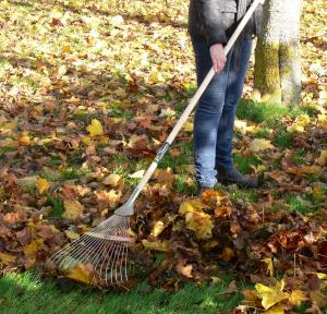 Räfsa Motala Flexi 25-52cm