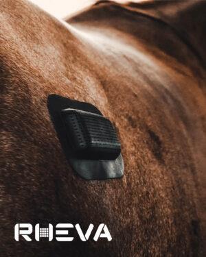 Rheva Sårskydd 2-Pack Large 7x10cm