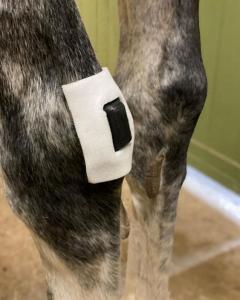 Rheva Extrafäste Till Sårskydd 2-Pack Small