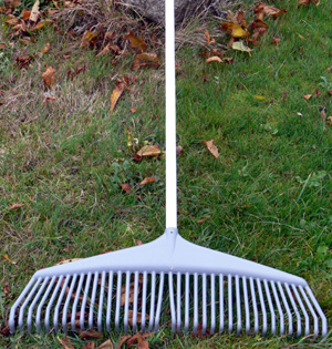 Plasträfsa 37 pinnar