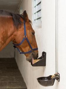 Saltstenshållare Kerbl 10kg Svart