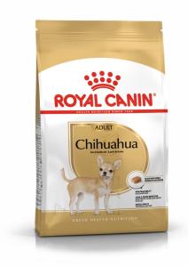 RC Chihuahua Adult