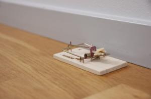 Råttfälla Battler R1 trä