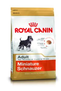 RC Miniature Schnauzer Adult