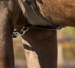 Ögla Till Sadelgjord