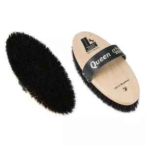 Ryktborste Queen Tagelborst 190x85mm