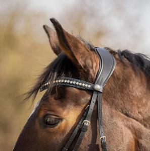 Pannband Sky Svart/Navy