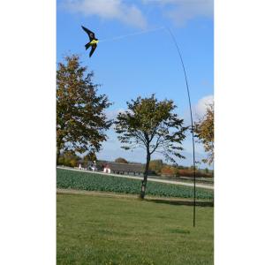 Rovfågeldrake 7m ink 2 drakar