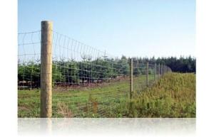 Nät Stängsel 140-11-15 100m