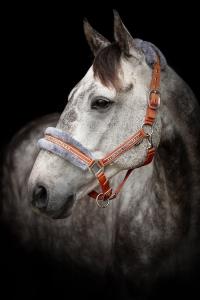 Grimma Med Päls Horse Unique Rost/Grå