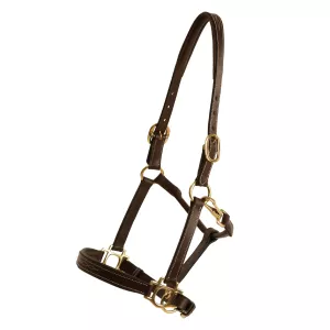 Lädergrimma Fancy Brun/Mässing