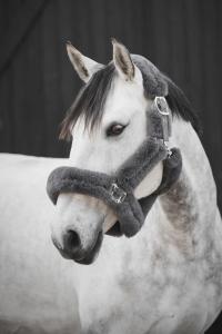 Grimma Cozy Nylon Med Ludd Grå