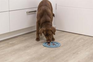 Slow Feed Fodermatta, TPE, 24cm