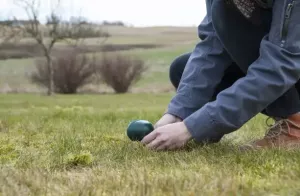 Sork&Mullvadsfritt 1250