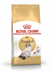 RC Ragdoll Adult
