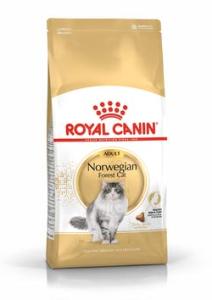 RC Norwegian Forest Cat Adult 10 kg