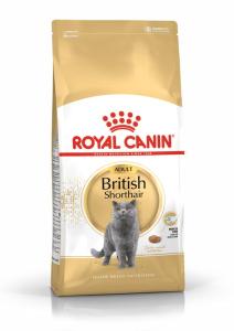 RC British Shorthair Adult