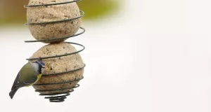 Talgbollshållare Spiral liten