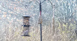 Fågelmatarstation svart 247cm