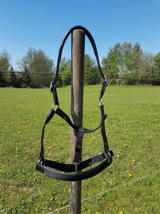 Grimma Läder/Nylon Svart
