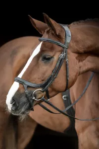 Träns Aachen Fazzino Lippo Svart