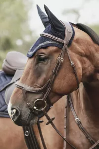 Träns Aachen Fazzino Lippo Brun Ponny