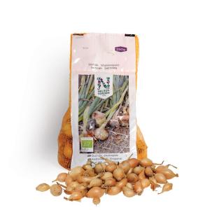 Sättlök, Ekologisk Gul 10/21 250g