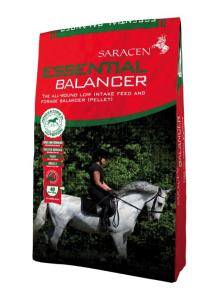 Saracen Essential Balancer, 20kg