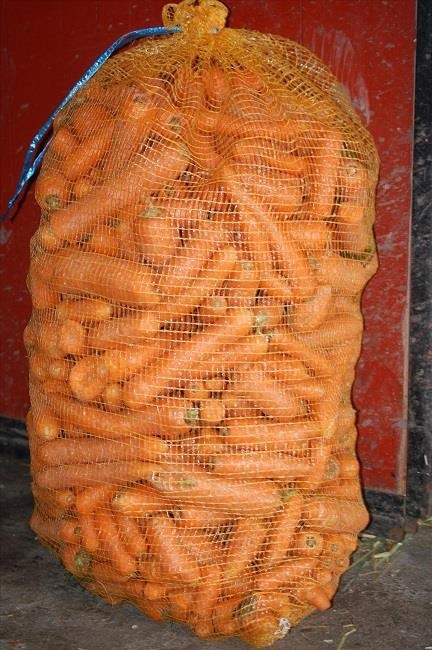 Morötter 10kg
