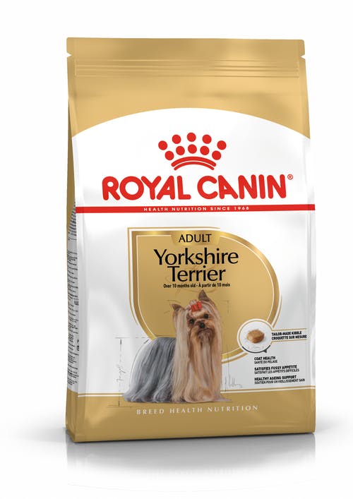 RC Yorkshire Terrier Adult