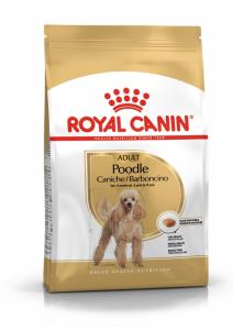 RC Poodle Adult